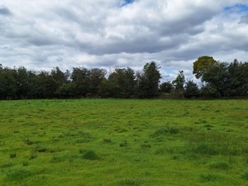 Venta / Parcela / Los Ángeles