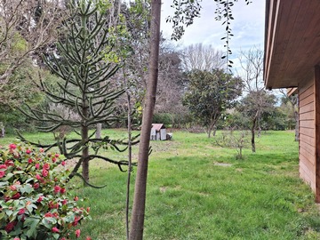 Imagen 27