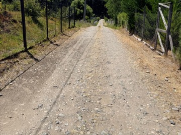 CAMINO HACIA LA PARCELA