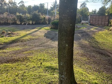 Imagen 12