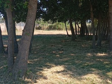 Venta / Parcela / Los Ángeles