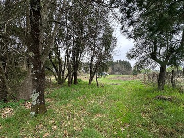 Venta / Parcela / Los Ángeles