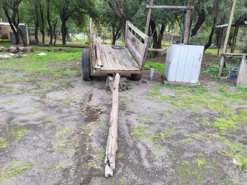 Imagen 5