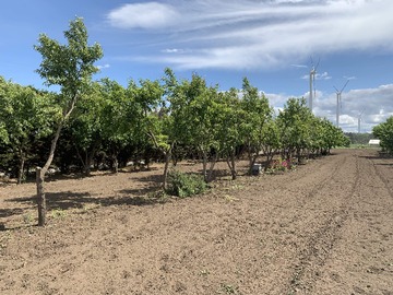 Venta / Parcela / Los Ángeles