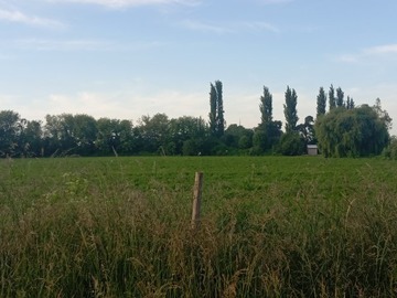 Venta / Parcela / Los Ángeles