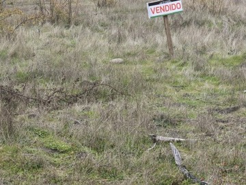 Imagen 6