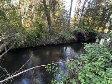 Venta / Parcela / Los Ángeles