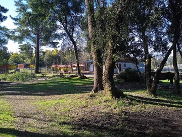 Imagen 11