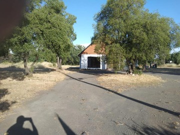 Imagen 5