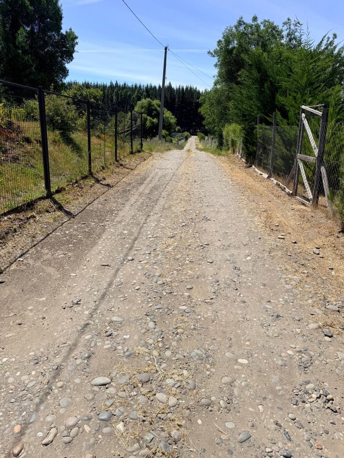 CAMINO HACIA LA PARCELA