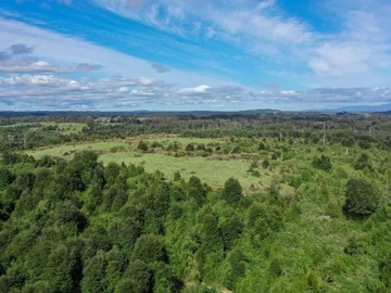 Venta / Parcela / Los Lagos