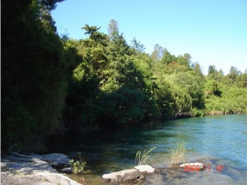 Imagen 7