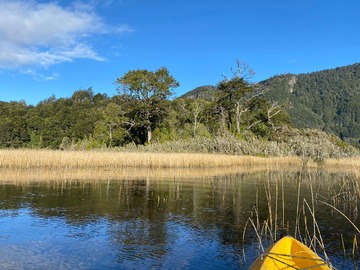 Venta / Parcela / Los Lagos