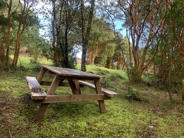 Venta / Parcela / Los Lagos