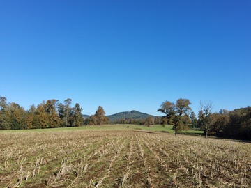 Venta / Parcela / Los Lagos