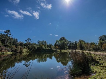 Venta / Parcela / Los Lagos