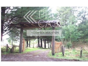 Venta / Parcela / Los Lagos