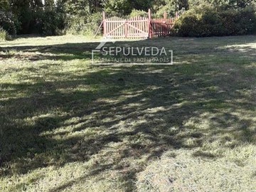 Imagen 7