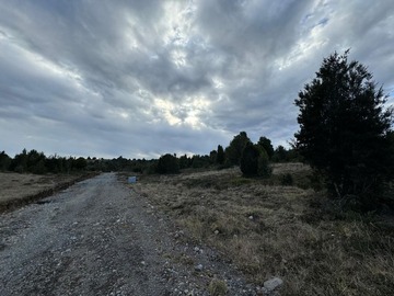 Venta / Parcela / Los Lagos