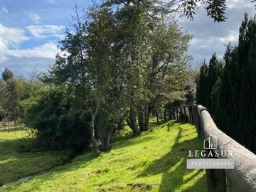 Imagen 9