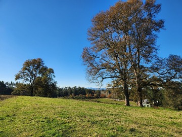 Venta / Parcela / Los Lagos