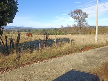 Venta / Parcela / Los Lagos