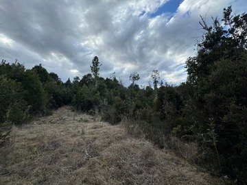 Venta / Parcela / Los Lagos