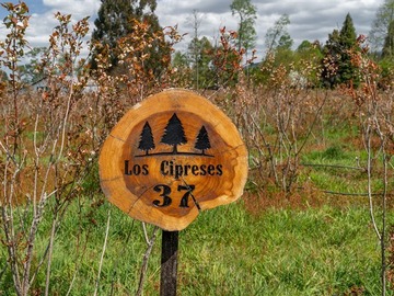 Imagen 8