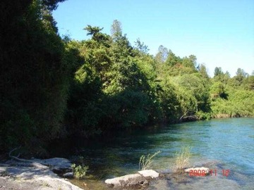 Venta / Parcela / Los Lagos