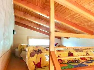 Imagen 5