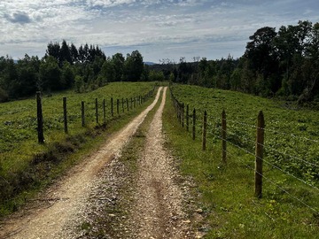 Venta / Parcela / Los Lagos