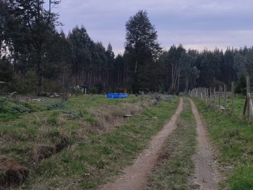 Venta / Parcela / Los Lagos