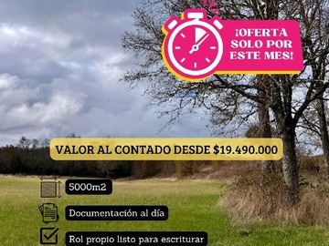 Imagen 20