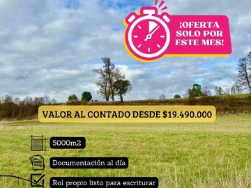 Imagen 16