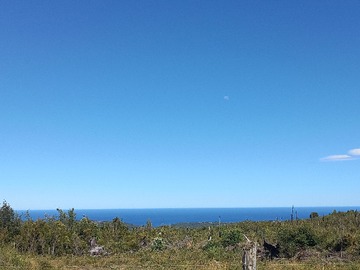 Venta / Parcela / Los Muermos