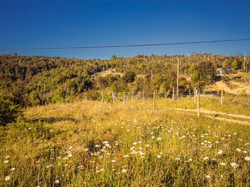 Venta / Parcela / Los Muermos