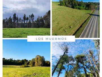 Imagen 7
