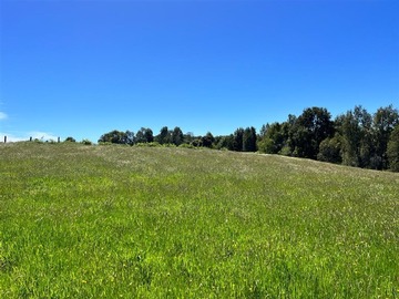 Venta / Parcela / Los Muermos