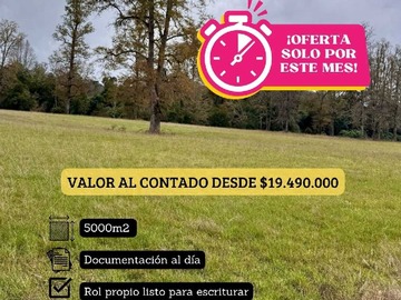 Imagen 13