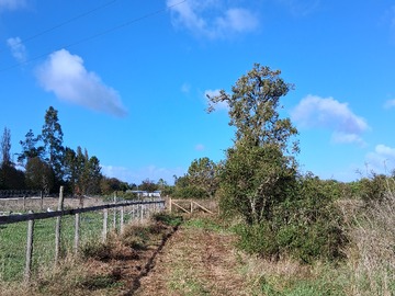 Acceso servidumbre de tránsito