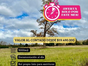 Imagen 11