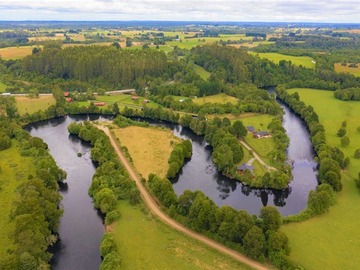 Venta / Parcela / Los Muermos