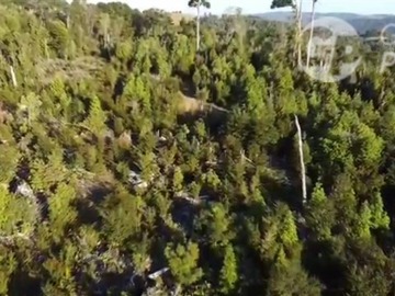 Venta / Parcela / Los Muermos