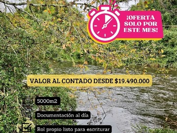 Imagen 19