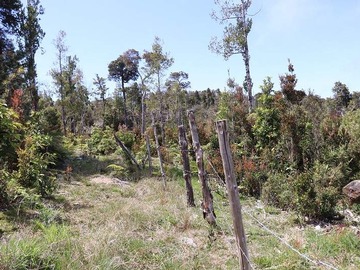 Venta / Parcela / Los Muermos