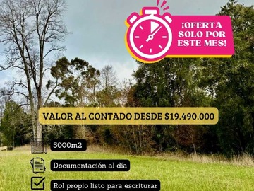 Imagen 15