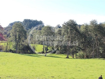 Imagen 9