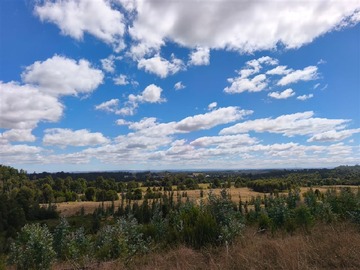 Venta / Parcela / Los Muermos