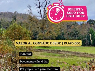 Imagen 18