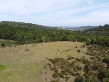 Venta / Parcela / Los Muermos